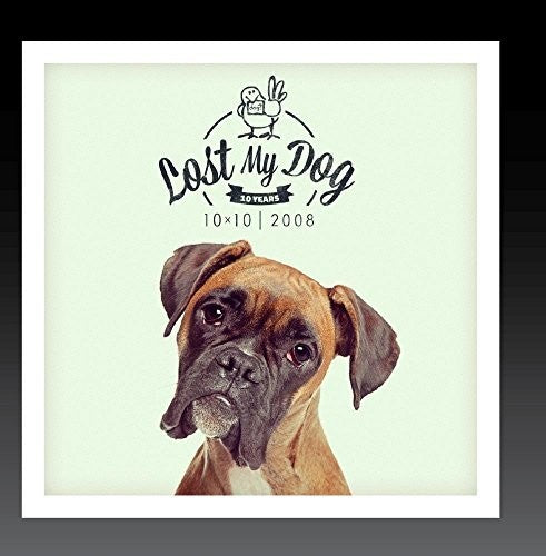 the album cover for Lost My Dog 10x10 2008 / Var - Lost My Dog 10x10 - 2008