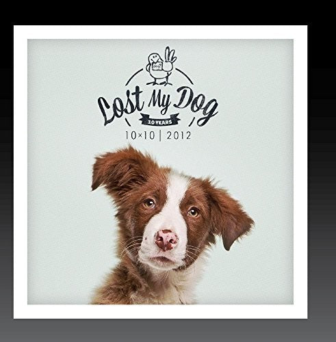 the album cover for Lost My Dog 10x10 2012 / Var - Lost My Dog 10x10 - 2012
