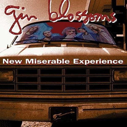 Gin Blossoms - New Miserable Experience Vinyl Record