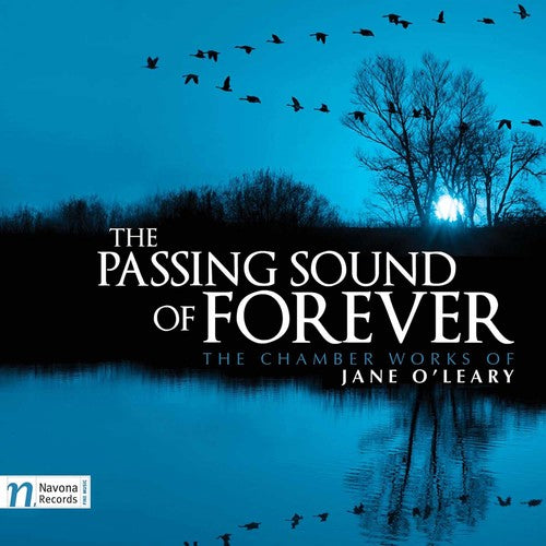 the album cover for Oleary / Concorde / Staunton / Clark / Dunne - The Passing Sound of Forever