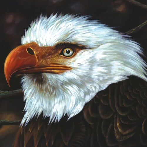 Mogwai - Hawk Is Howling Vinyl Record