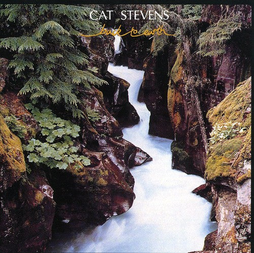 the album cover for Yusuf / Cat Stevens - Back To Earth [Import]