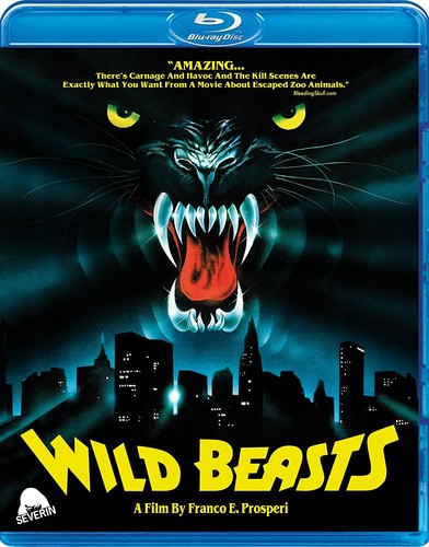 Wild Beasts - Wild Beasts - Blu-ray