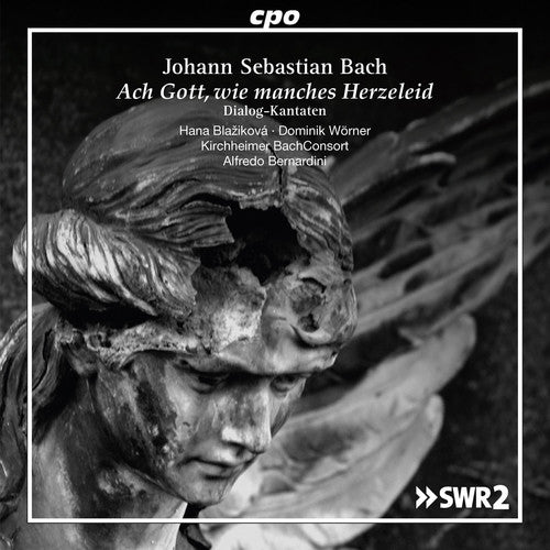 the album cover for Bernardini - Johann Sebastian Bach: Ach Gott wie manches Herzeleid