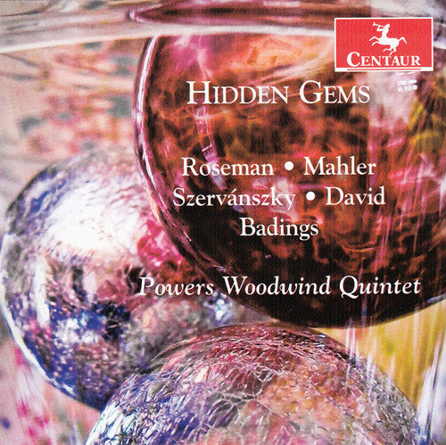 Badings / Powers Woodwind Quintet / David - Hidden Gems - Music CD