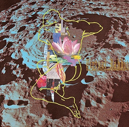 Hirasawa,susumu - Virtual Rabbit - Music CD