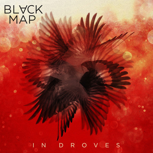 Black Map - In Droves Vinyl Record