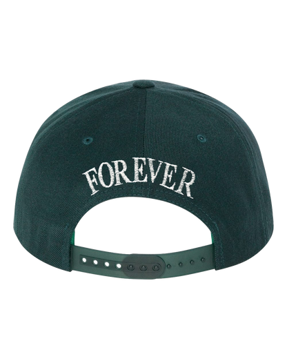 Wu-Tang Clan Officially Licensed Wu York Snapback Hat Spruce
