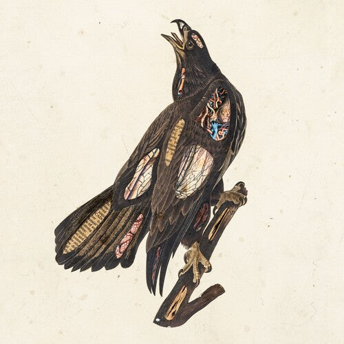 Clutch - Book Of Bad Decisions Vinyl Record