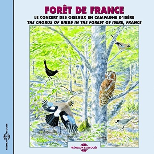 the album cover for Sons de la Nature - Chorus of Birds Isere, France