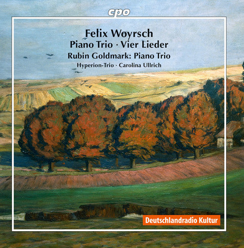 Goldmark / Woyrsch / Hyperion-trio / Ullrich - Felix Woyrsch: Piano Trios - Music CD