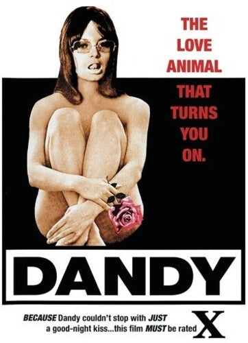 Dandy - Dandy - DVD