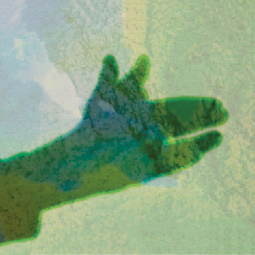 Native Instrument - Camo - Vinyl Record