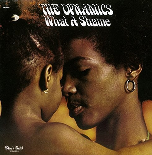 the album cover for Dynamics - What A Shame: Expanded (Exp) [Remastered] (Jpn)