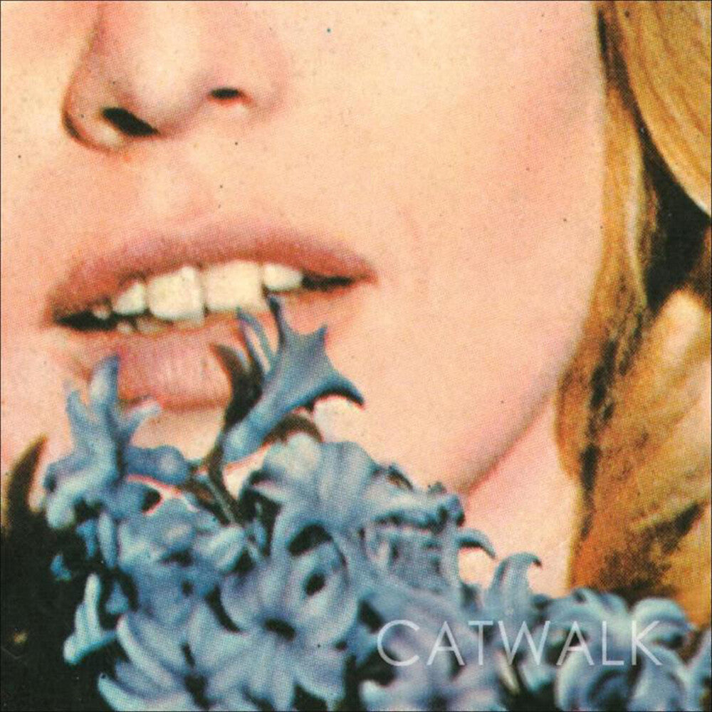 the album cover for Catwalk - (Please) Don't Break Me