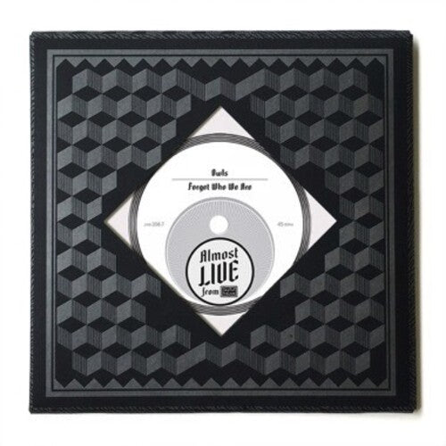 The Owls - Forget Who We Are Vinyl Record