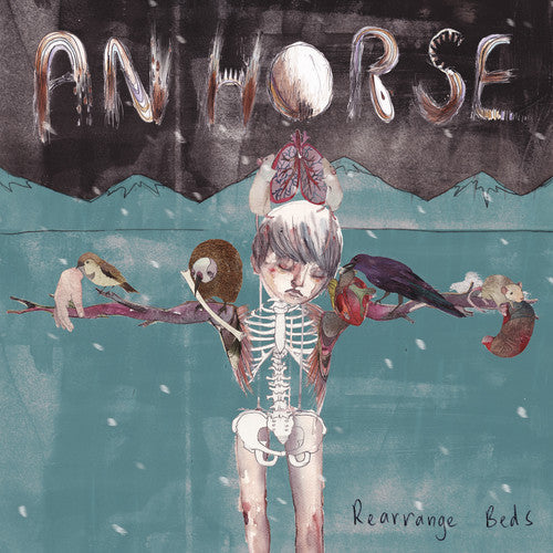 An Horse - Rearrange Beds Vinyl Record