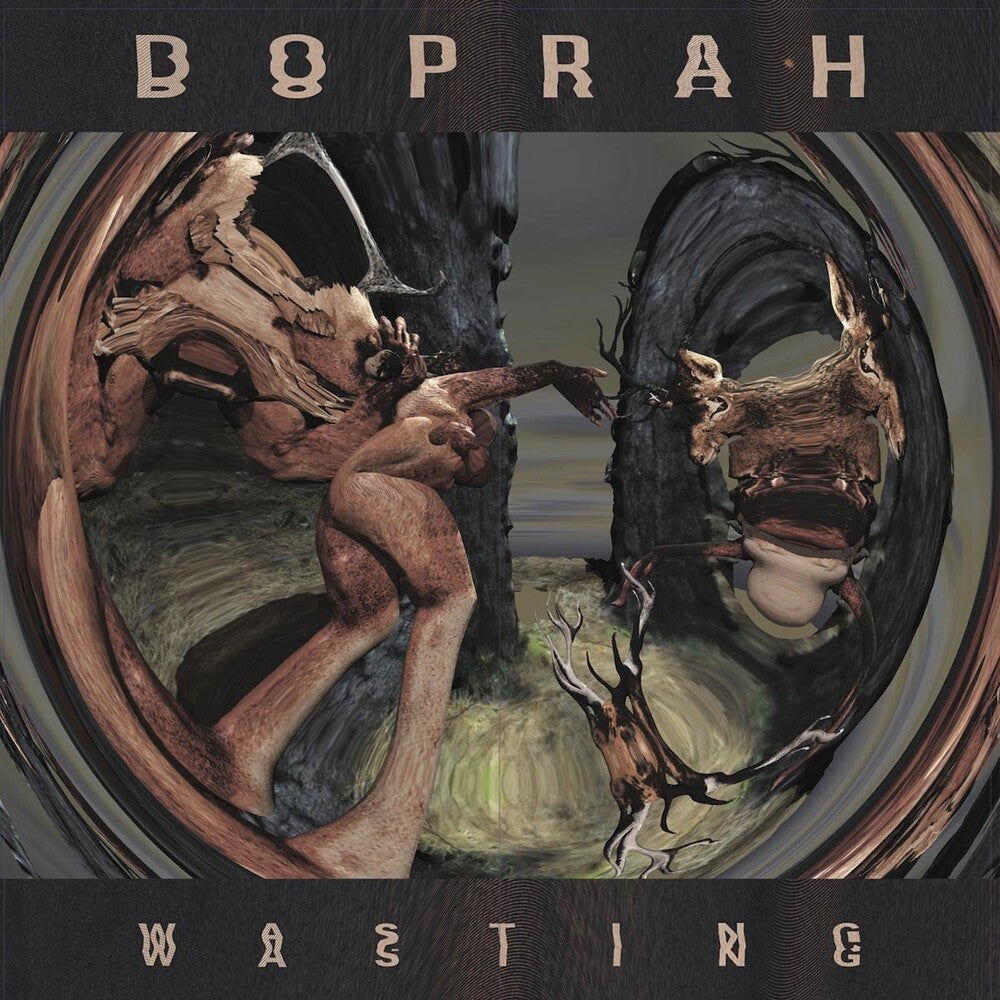 Wasting [LP] Vinyl Record