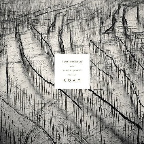 Hobden,tom / James,eliot - Present: Roam - Vinyl Record