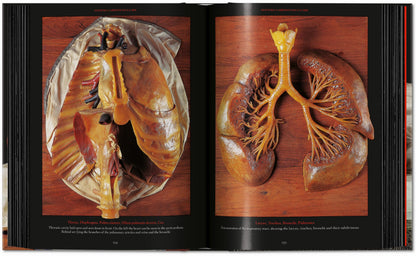 Anatomical Waxes. 45th Ed. (German, French, English) Book
