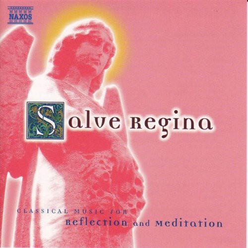 the album cover for Salve Regina: Class Music Reflect & Meditation / V - Salve Regina: Class Music Reflect & Meditation / Various