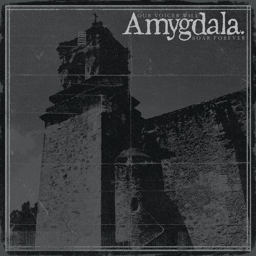 Amygdala - Our Voices Will Soar Forever - Music CD