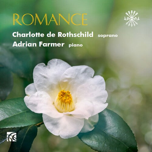 Romance / Various - Romance / Various - Music CD
