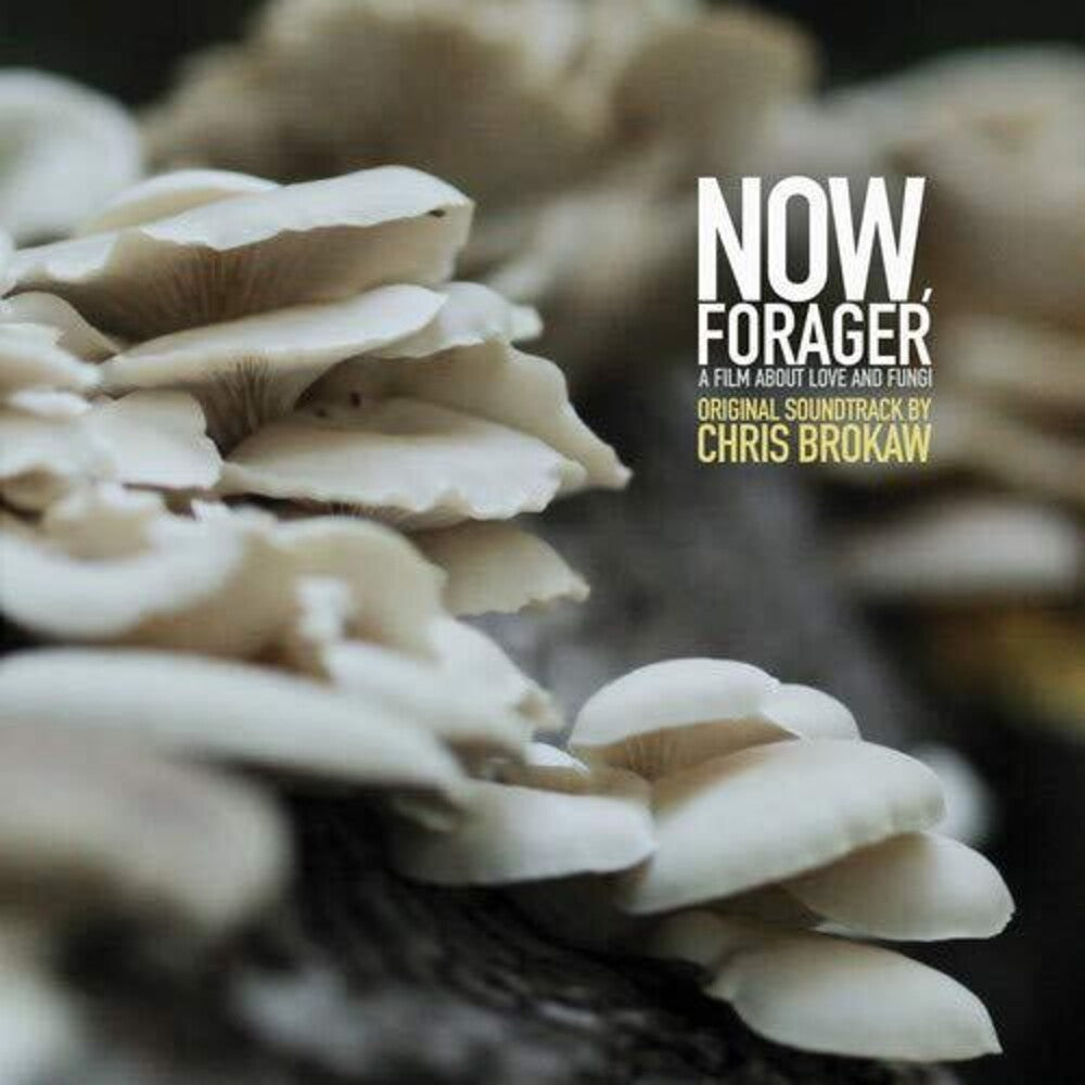 Chris Brokaw - Now Forager (Original Soundtrack) [LP] Vinyl Record