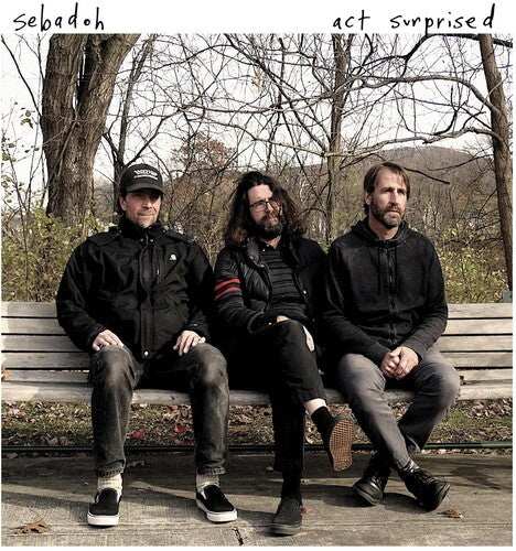 Sebadoh - Act Surprised Vinyl Record