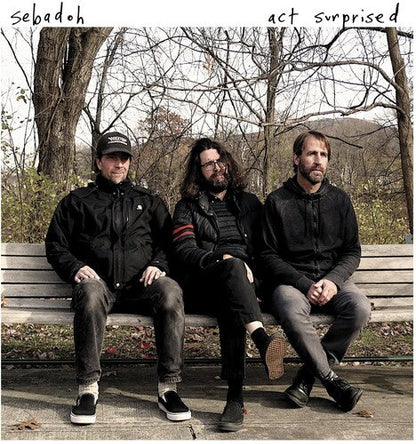Sebadoh - Act Surprised Vinyl Record