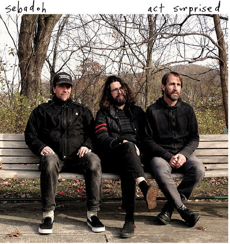 Sebadoh - Act Surprised - Vinyl Record