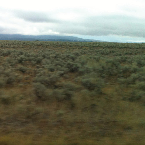 Caroline Says - 50,000,000 Elvis Fans Can't Be Wrong [LP] Vinyl Record