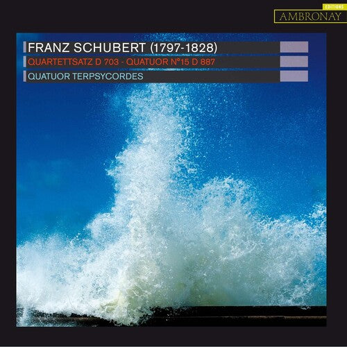 Quatuor Terpsycordes - Quartettsatz - Music CD