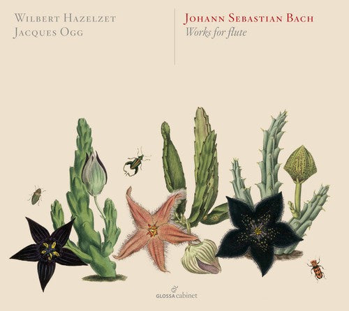 Bach,j.s. / Hazelzet / Ogg - Works For Flute - Music CD