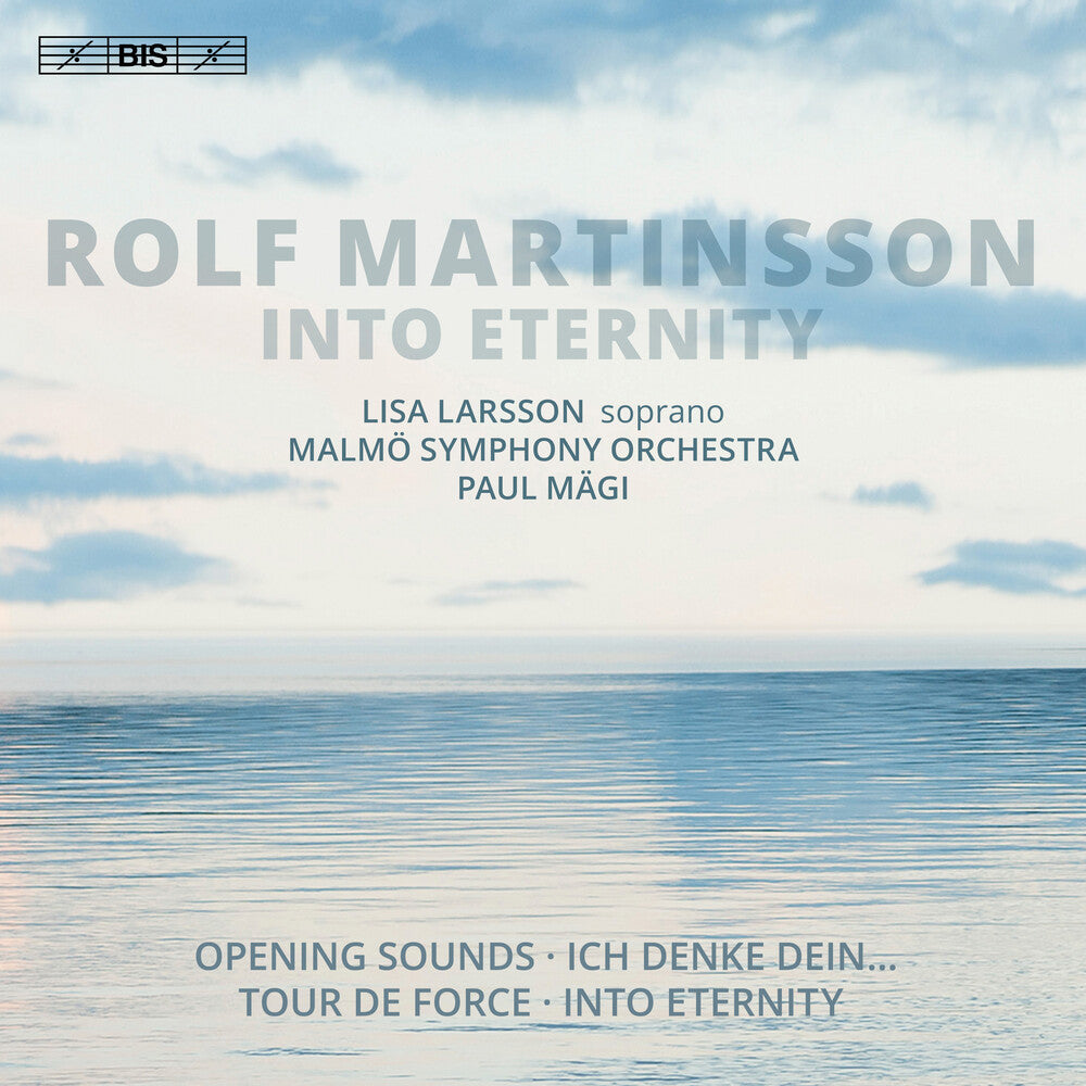 the album cover for Martinsson / Larsson / Magi - Into Eternity