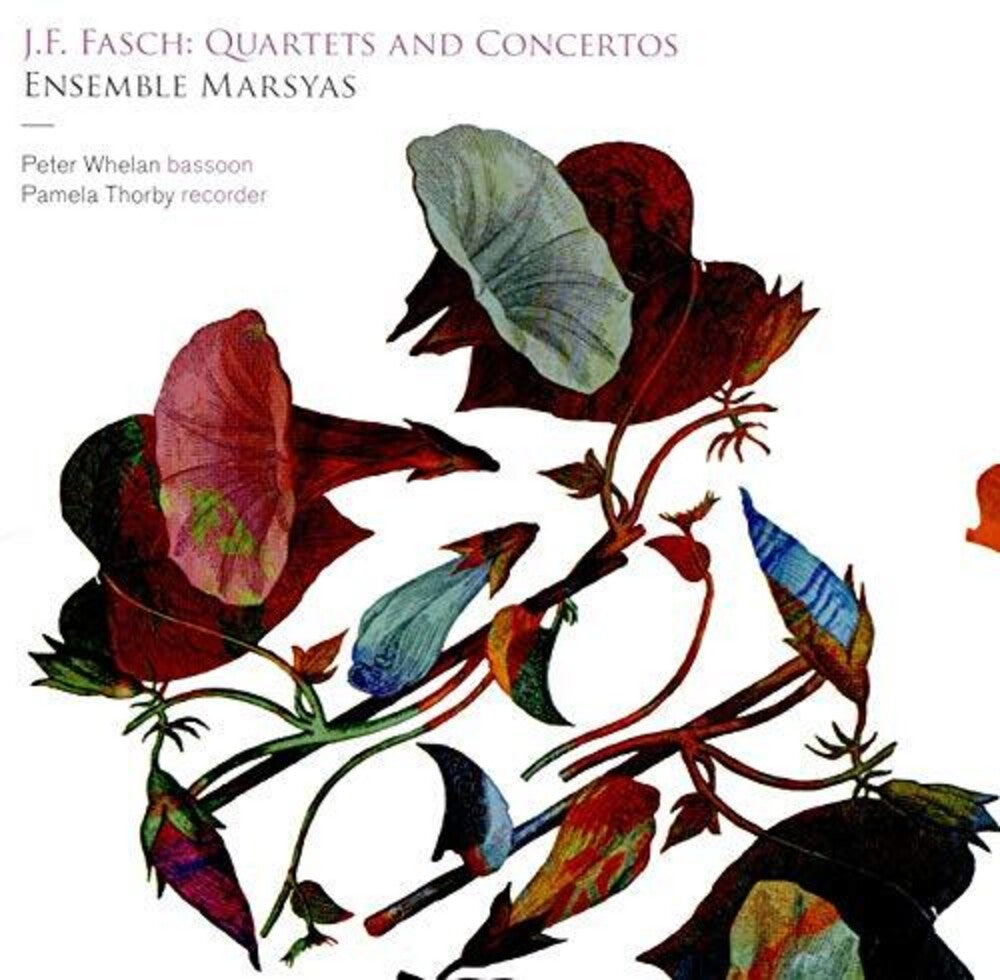 the album cover for Fasch / Ensemble Marsyas / Thorby - Quartets & Concertos