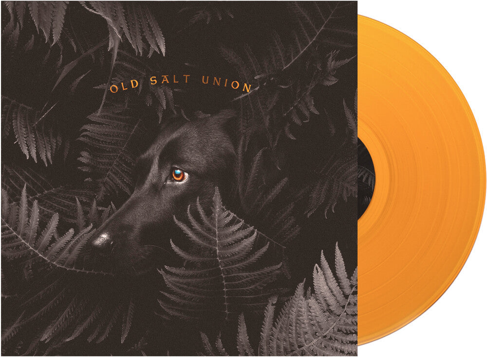 Where The Dogs Don't Bite [Limited Edition Orange LP] Vinyl Record