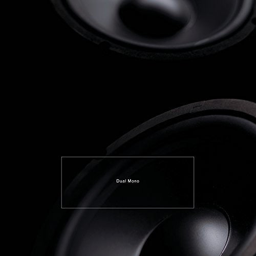 Barreca / Leimer - Dual Mono - Music CD