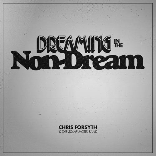 Dreaming In The Non-Dream [LP] Vinyl Record