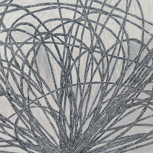 Hakon,stafraenn - Hausi - Vinyl Record