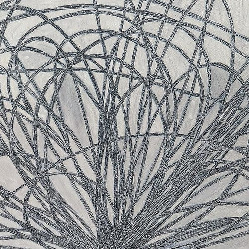 Hausi [LP] Vinyl Record