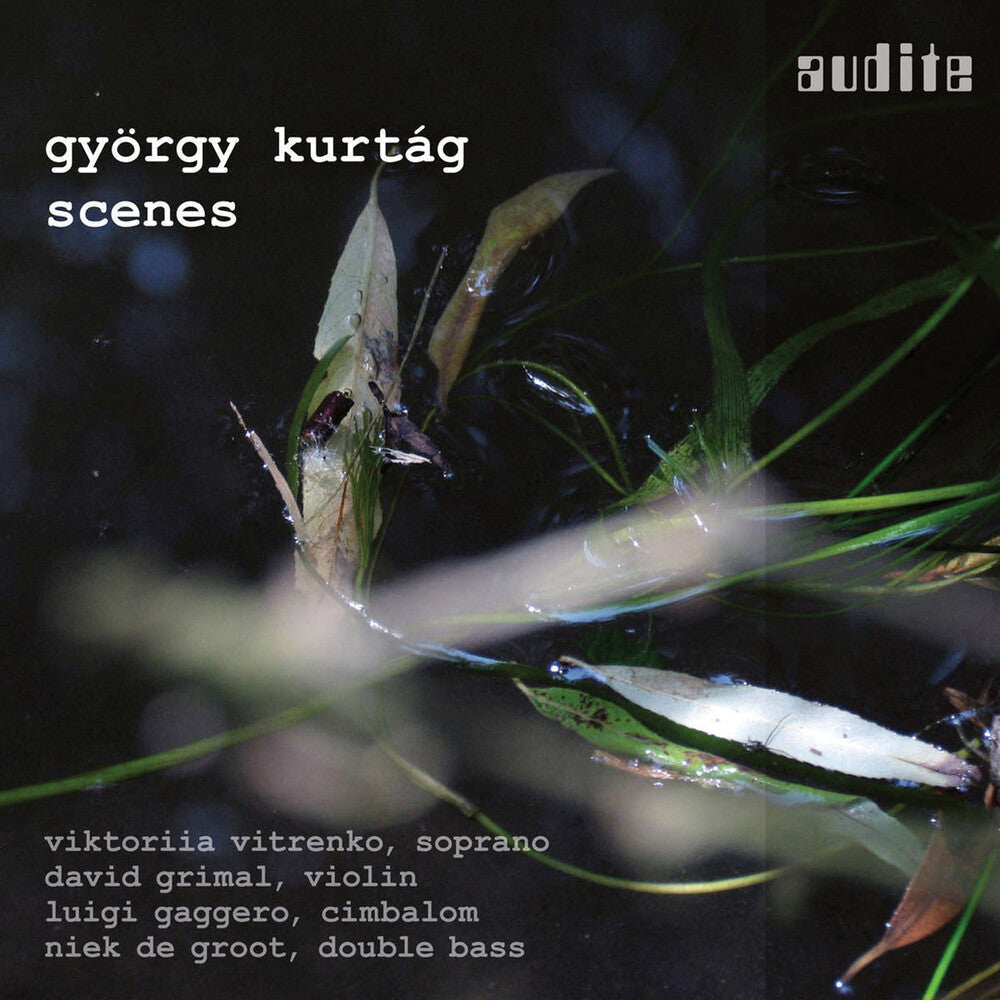 the album cover for Kurtag / Vitrenko / Gaggero - Scenes