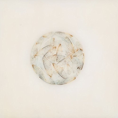 the album cover for Lotte Kestner - Off White