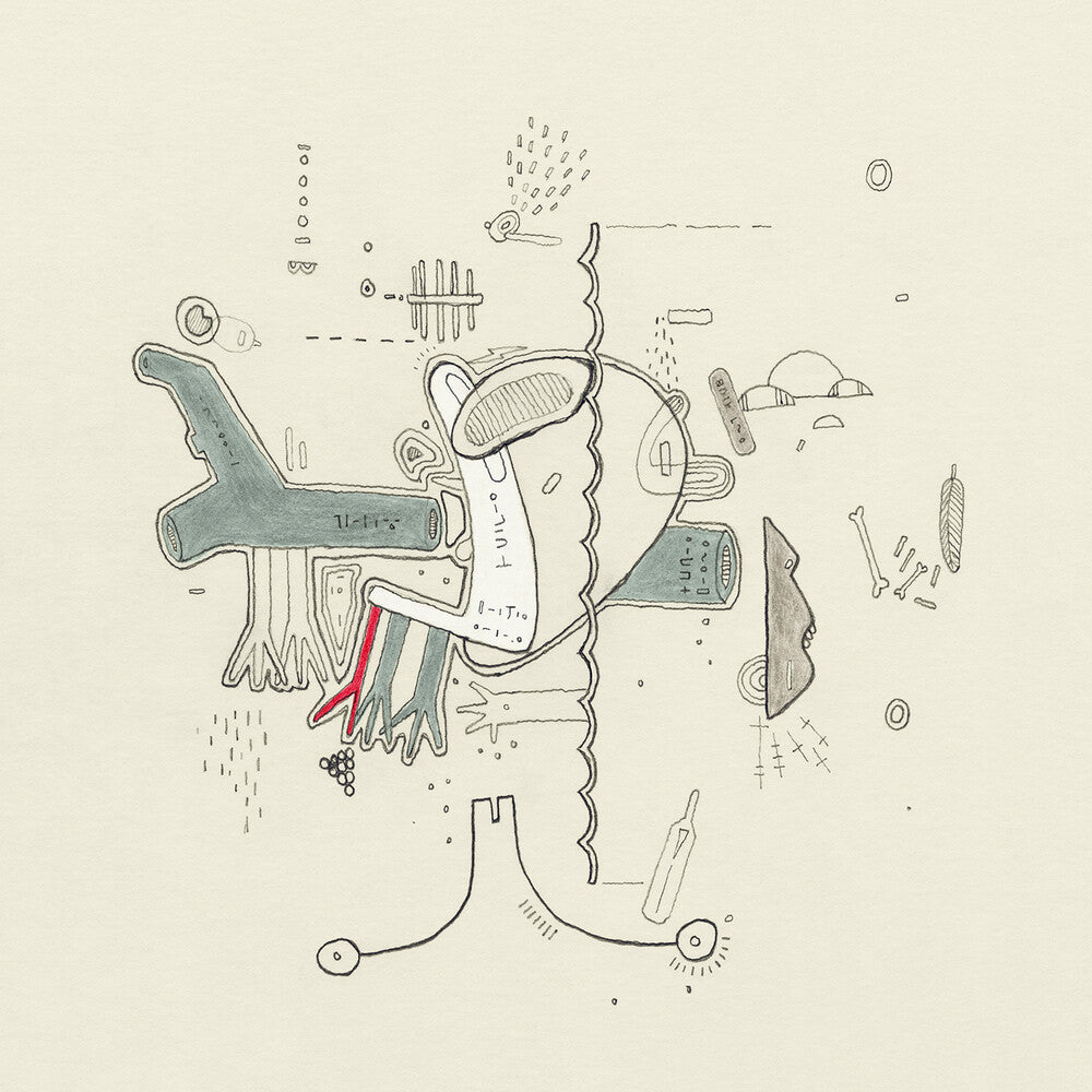 Tiny Changes: Celebration Of Frightened Rabbit's 'The Midnight OrganFight' [LP] Vinyl Record