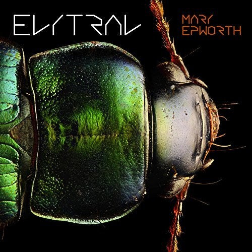Elytral [LP] Vinyl Record