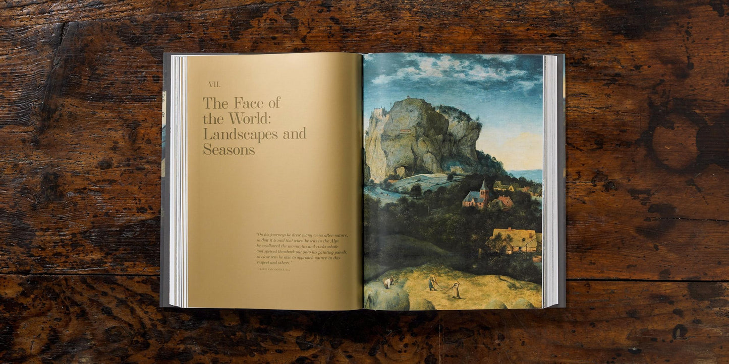 Bruegel. The Complete Works (English) Book