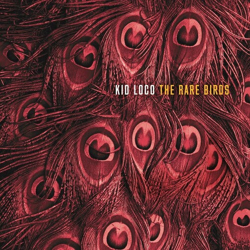 Kid Loco - Rare Birds - Vinyl Record
