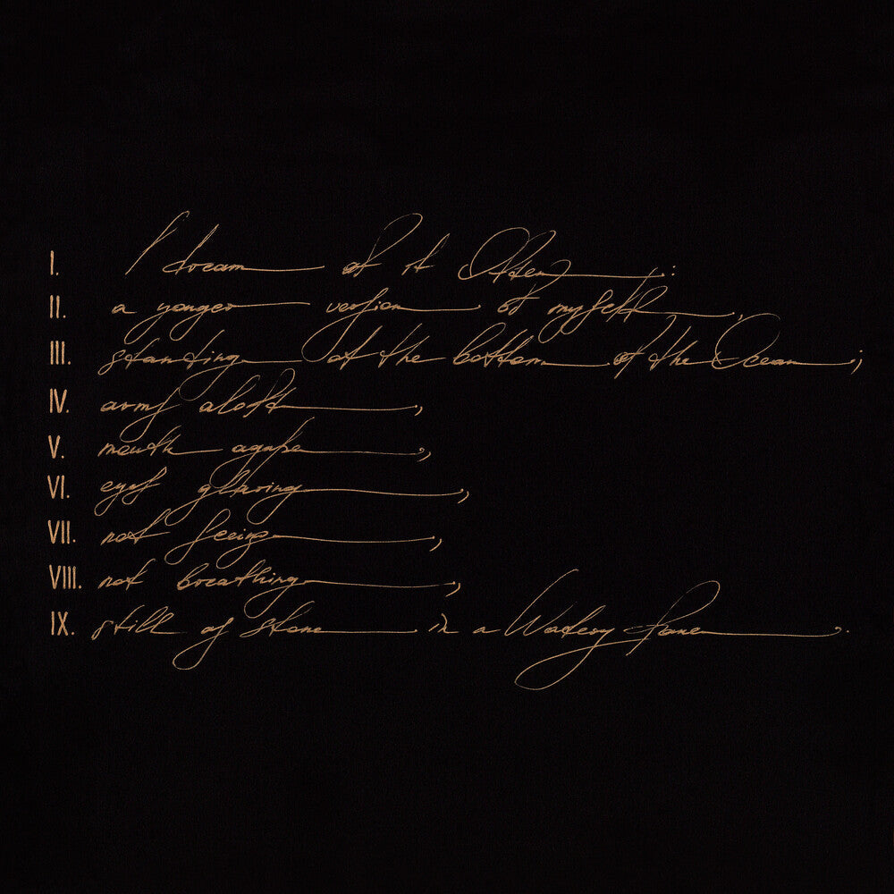 Telefon Tel Aviv - Dreams Are Not Enough [LP] Vinyl Record