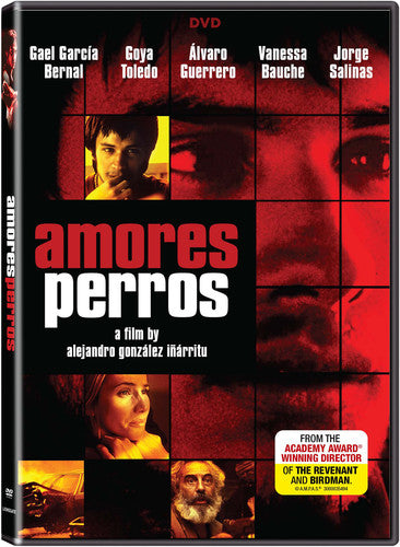 Amores Perros - Amores Perros - DVD