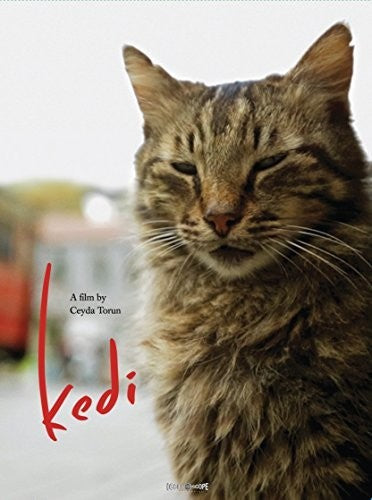 Kedi - Kedi - DVD
